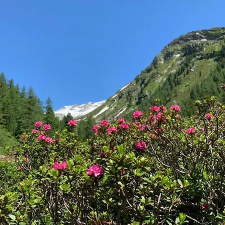 Apartamento Haus Helga