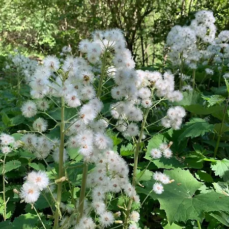 Haus Helga Apartamento Lienz