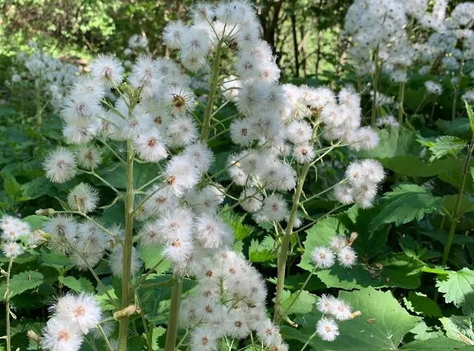 Haus Helga Διαμέρισμα Lienz