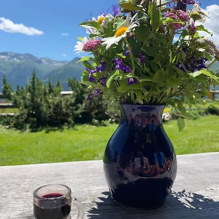 Haus Helga * لينز