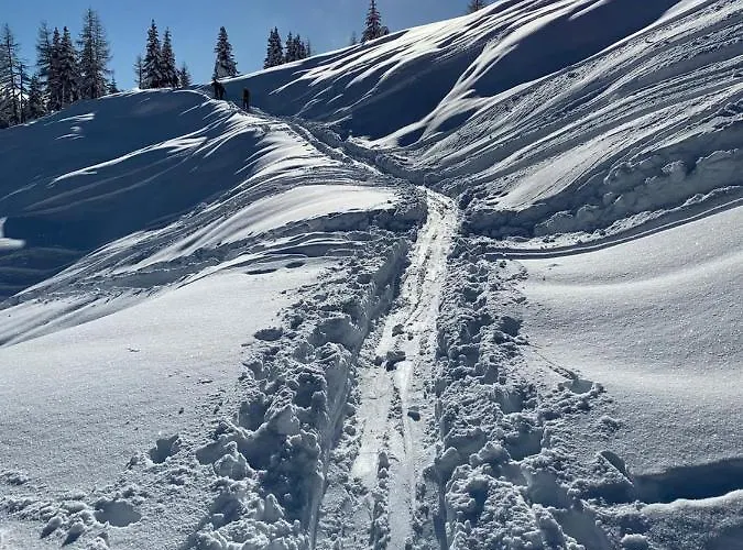 アパート Haus Helga リエンツ