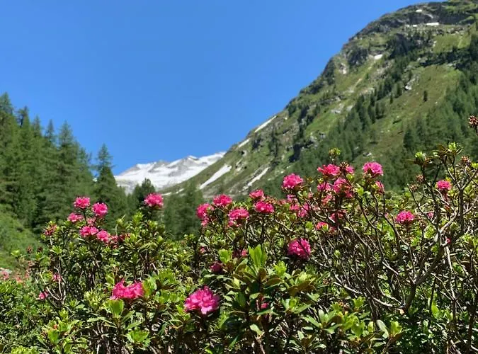 アパート Haus Helga